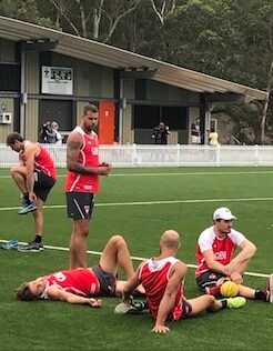 20180124_turf_p.jpg